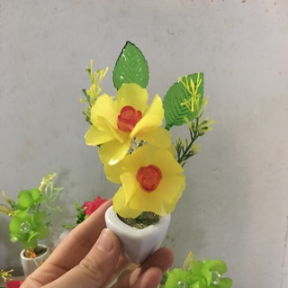 10 chậu hoa đá pha lê