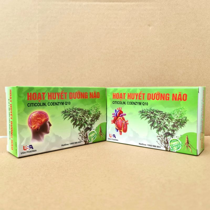 Hoạt huyết dưỡng não, hỗ trợ hoạt huyết, tăng cường tuần hoàn máu não
