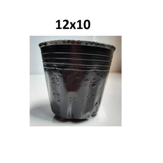 10 cái bầu ươm nilong 12x10 cm