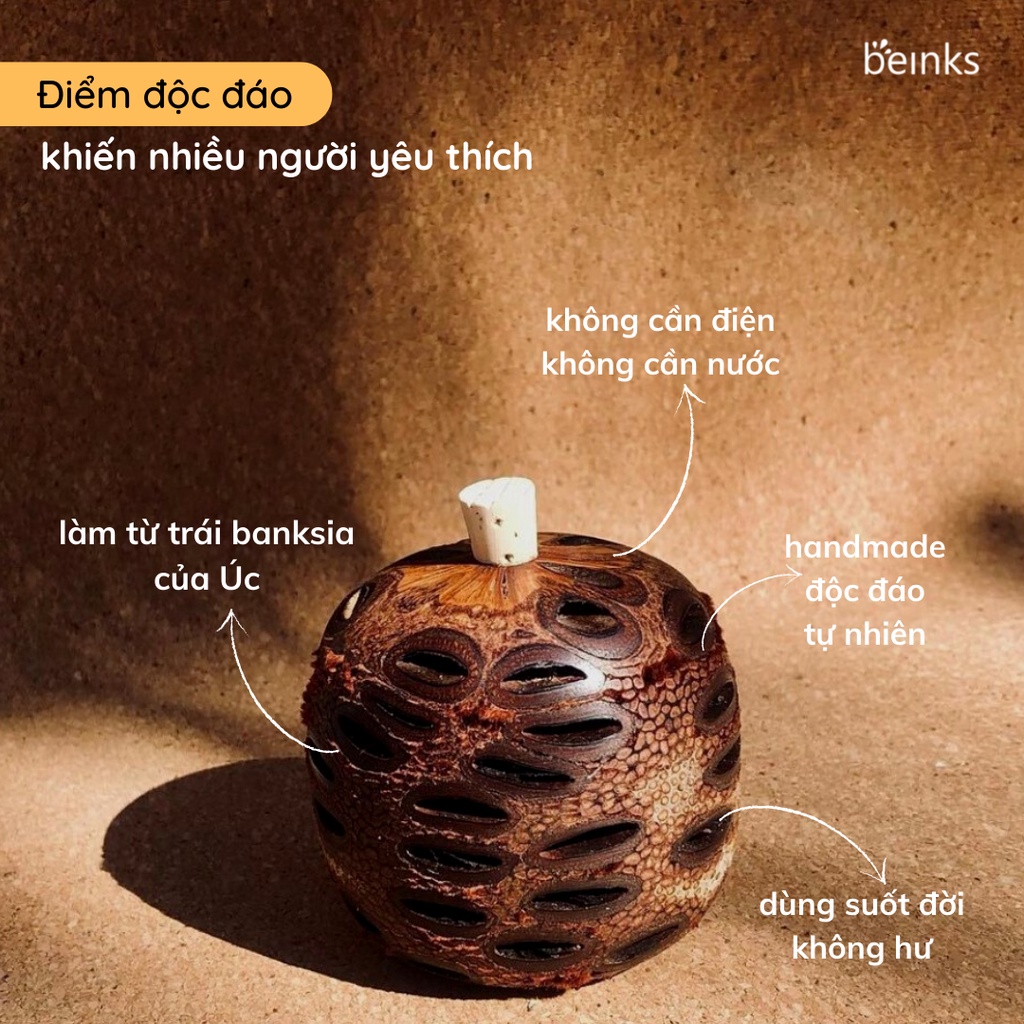 Trái khuếch tán tinh dầu Banksia