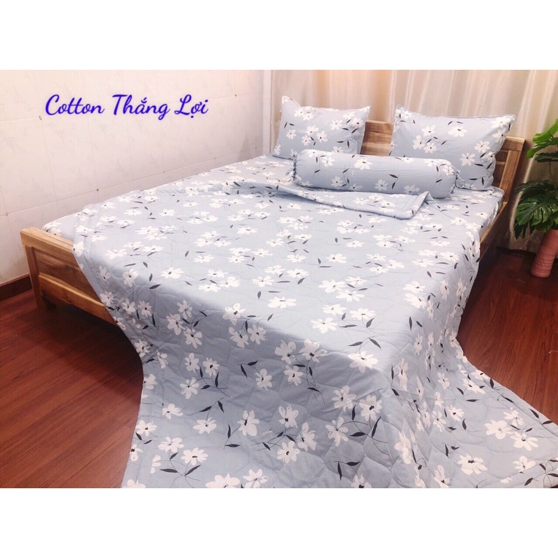 CHĂN MỀN Chần Gòn 100% cotton Thắng Lợi ( ib chọn mẫu )