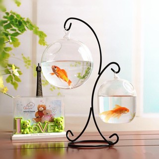 Bể cá mini treo giá hình chữ s