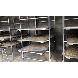 Cà phê nhân sống 1kg