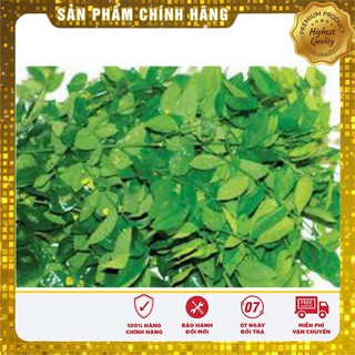 HẠT GIỐNG RAU NGÓT BỐN MÙA  ( gói 1 gr)