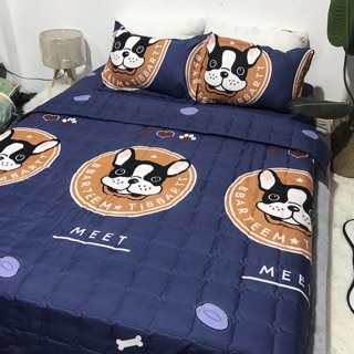 Bộ Chăn Ga Gối Hè Thu 5 Món - Chó Meet