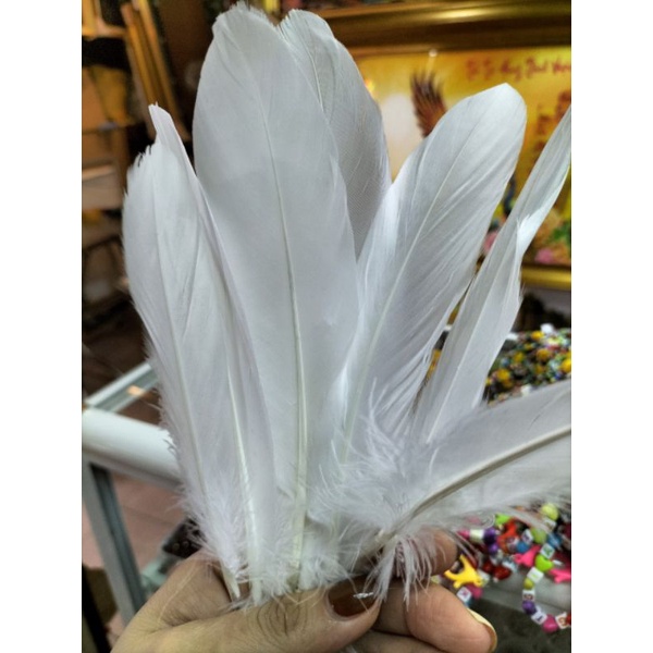 Lông gà nhân tạo đủ màu làm trang trí nhà cửa làm đồ handmade