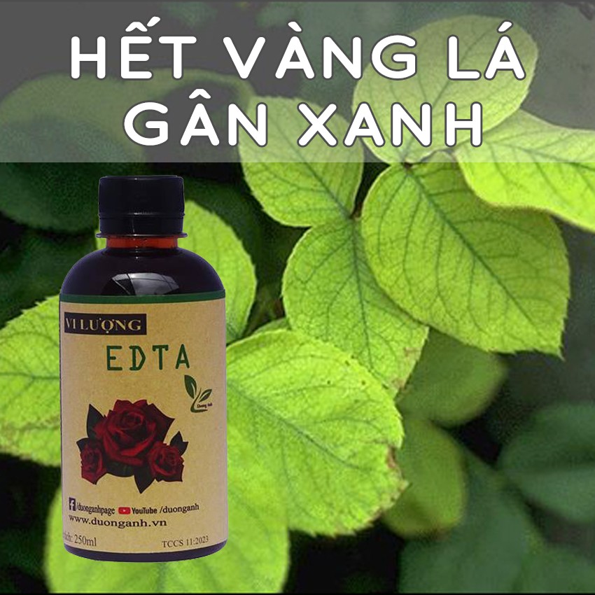 Phân bón vi lượng DOCNEEM trị vàng lá gân xanh, cho hoa hồng, hoa lan, cây cảnh trong nhà và ngoài trời, chai 250ml