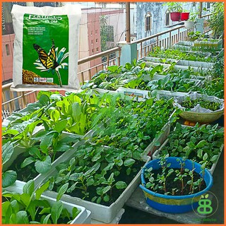 Phân Hữu Cơ Hà Lan , Phân Bón Tự Nhiên, Cải Thiện Đất Fertiplus - Túi 1KG