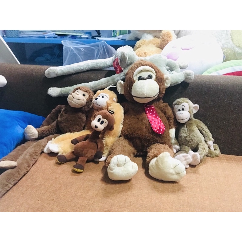 Gấu bông si tuyển