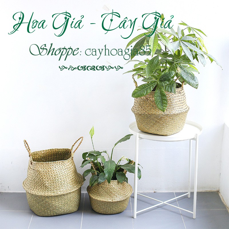 Giỏ mây _ Trồng cây cắm hoa trang trí