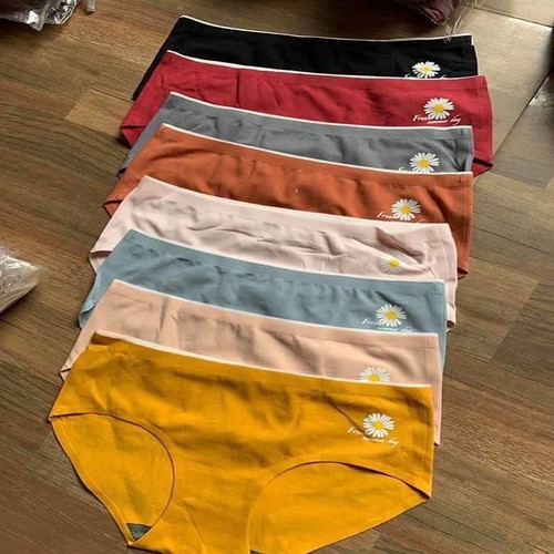 Combo 5 Quần Lót Nữ Thêu Hoa Cúc Chất Liệu Thun Cotton Kháng Khuẩn Mềm Mại - Vạn Xuân shop