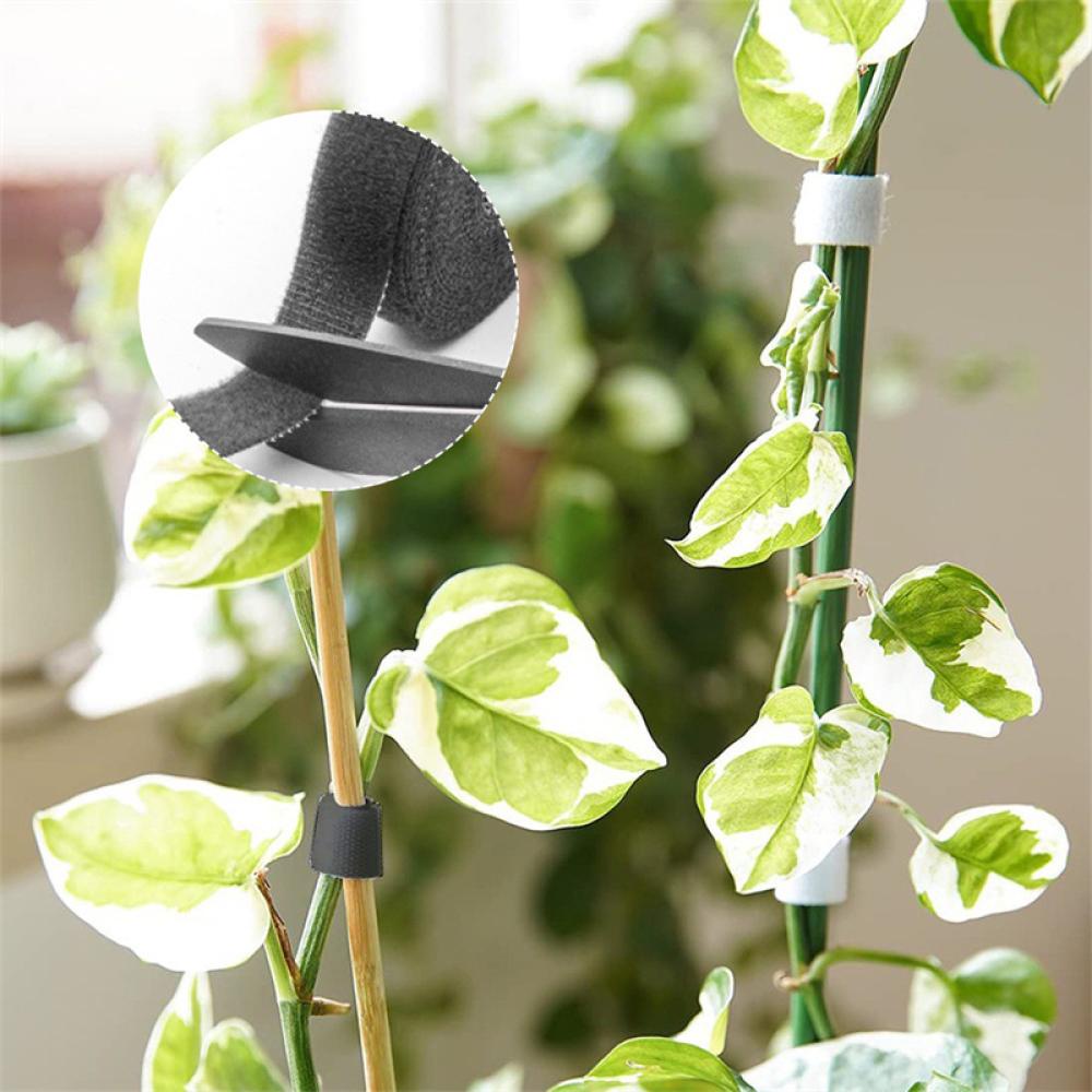 Cuộn Dây Nylon 3M Hỗ Trợ Trồng Cây Tiện Dụng J3L1