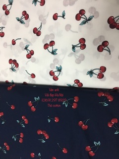 Vải thô cotton may váy áo