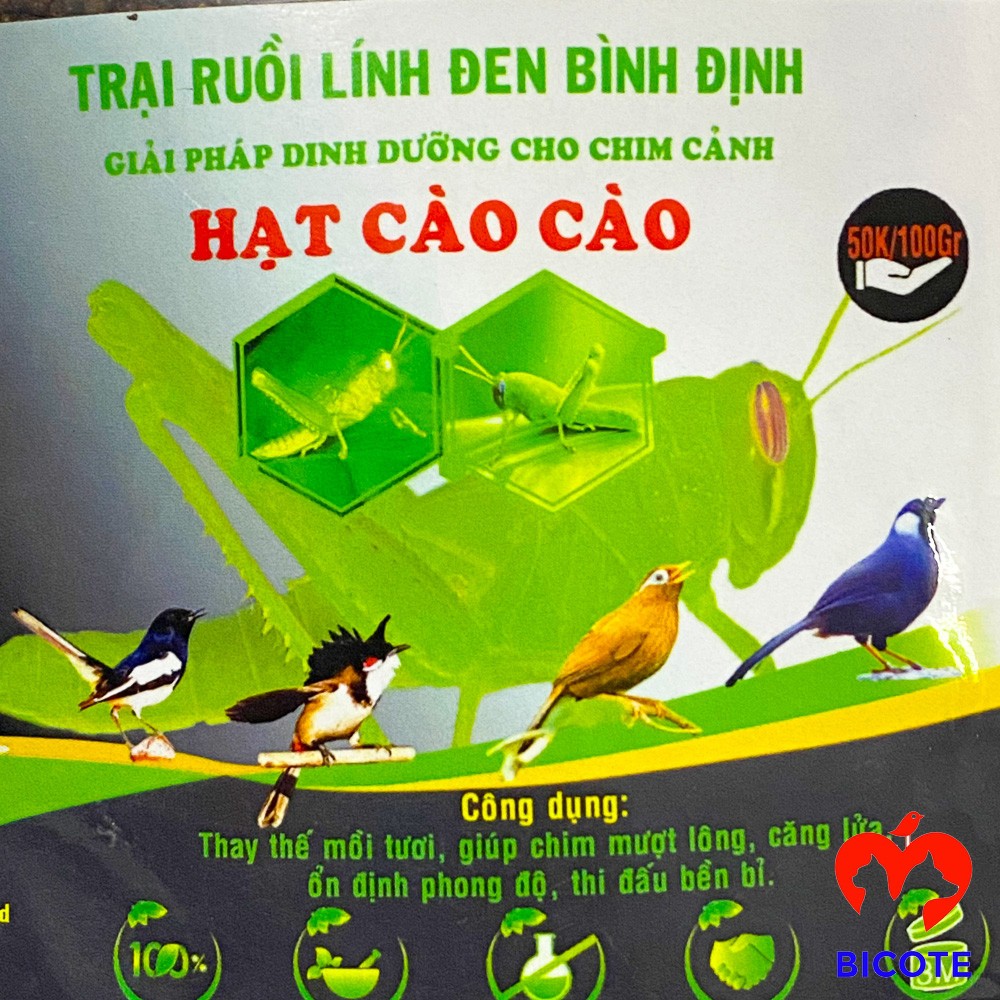 Hạt côn trùng cho chim cao cấp giàu dinh dưỡng 100gram BICOTE