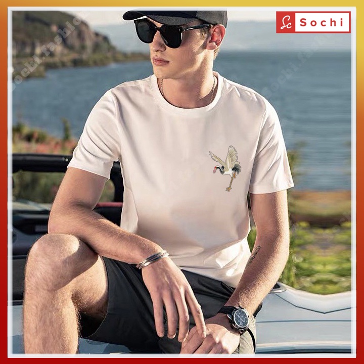 Áo thun nam, áo phông nam tay ngắn cổ tròn đẹp phong cách Hàn Quôc CZ607