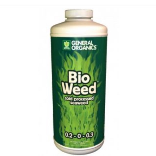 Bio weed - phân bón lá rong biển - cho cây con- cây mới đâm chồi