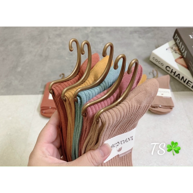 Tất tăm cao cổ hàng Quảng Châu 5 màu Lyn Closet [Freeship] T105L