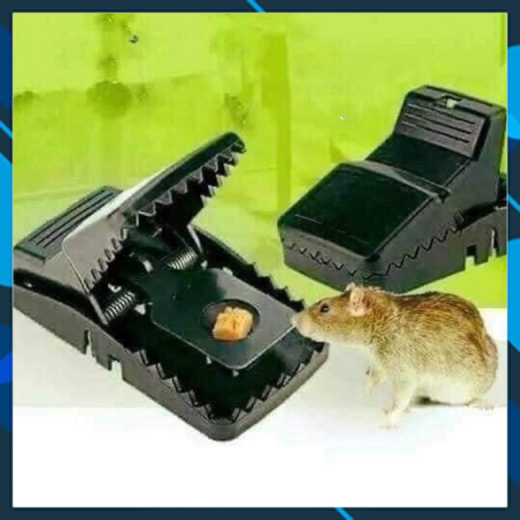 Kẹp bẫy chuột thông minh dễ sử dụng, diệt chuột hiệu quả an toàn