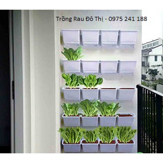 Bộ chậu trồng cây, trồng rau, trồng hoa trên tường cỡ lớn màu đen (1 đế + 2 chậu trồng)