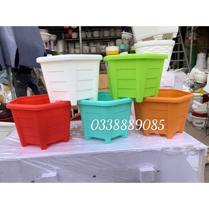 Chậu nhựa hoa Lục giác - hàng chính hãng Z111, hàng đẹp và cứng