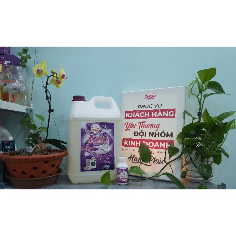Mua Nước giặt AILLA loại 10kg