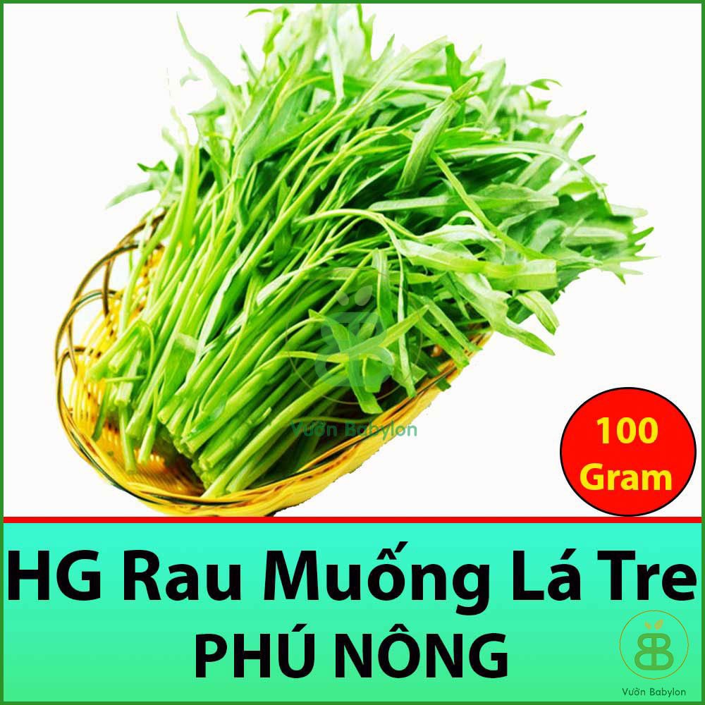 100GR (GÓI LỚN)  Hạt Giống Rau Muống Dễ Trồng, Nhanh Thu Hoạch