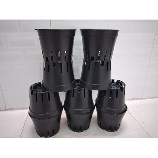 COMBO 10 Chậu nhựa trồng lan size 16