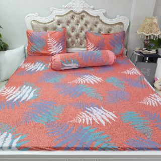 Bộ Drap Thun Hàn Quốc mát lạnh 4 món (Inbox nhiều mẫu lựa chọn)