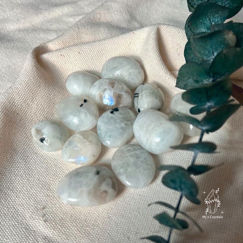 ᴆᴀ́ ᴠɪᴇ̂ɴ 𝘛𝘶𝘮𝘣𝘭𝘦𝘥 Mᴏᴏɴsᴛᴏɴᴇ ʙʀᴀᴢɪʟ sᴜ̛ᴜ ᴛᴀ̂̀ᴍ, ᴛᴀʀᴏᴛ, ʜᴀɴᴅᴍᴀᴅᴇ, ʀᴇɪᴋɪ, ᴛʜᴀɴʜ ᴛᴀ̂̉ʏ ᴛʜɪᴇ̂̀ɴ ᴆɪ̣ɴʜ.