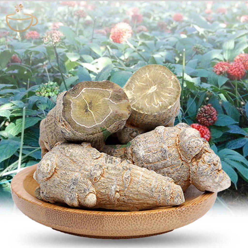 TAM THẤT BẮC TAM THẤT VÂN SƠN 100g-BỔ HUYẾT HOẠT HUYẾT CHỐNG VIÊM TIÊU U, HỖ TRỢ ĐIỀU TRỊ UNG THƯ - TRÀ THẢO MỘC DAYSTEA