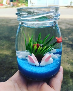 Set Marimo couple thỏ