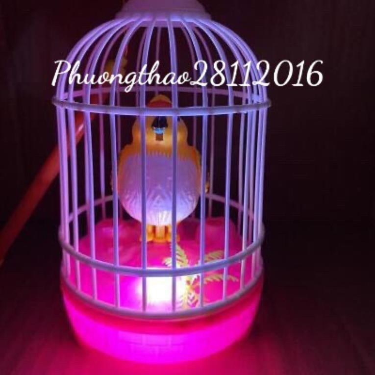 Đồ chơi lồng chim phát nhạc- đồ chơi lắp pin hàng đẹp- lồng chim cho bé
