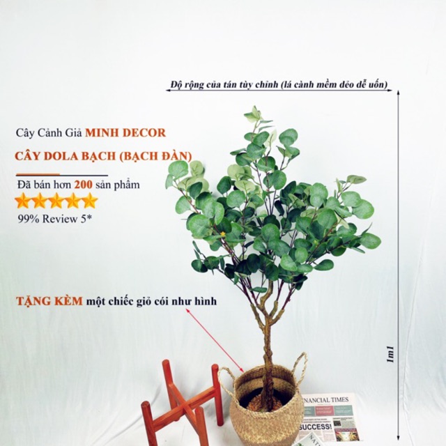 [Hàng Loại 1] [Freeship Tối thiểu 70k] Cây Dola Bạc Trang Trí Nhà Cửa ,Văn Phòng ,Quán Caffe