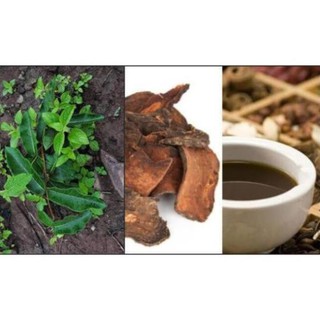 1kg hà thủ ô đỏ khô gt073