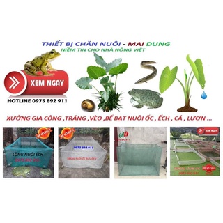Lồng nuôi ếch ốc ếch cá - hàng sịn thái