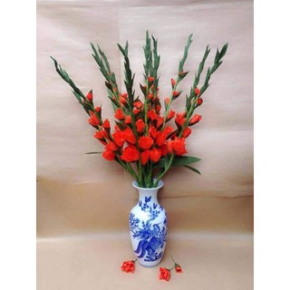Củ hoa lay ơn đủ màu 1 củ