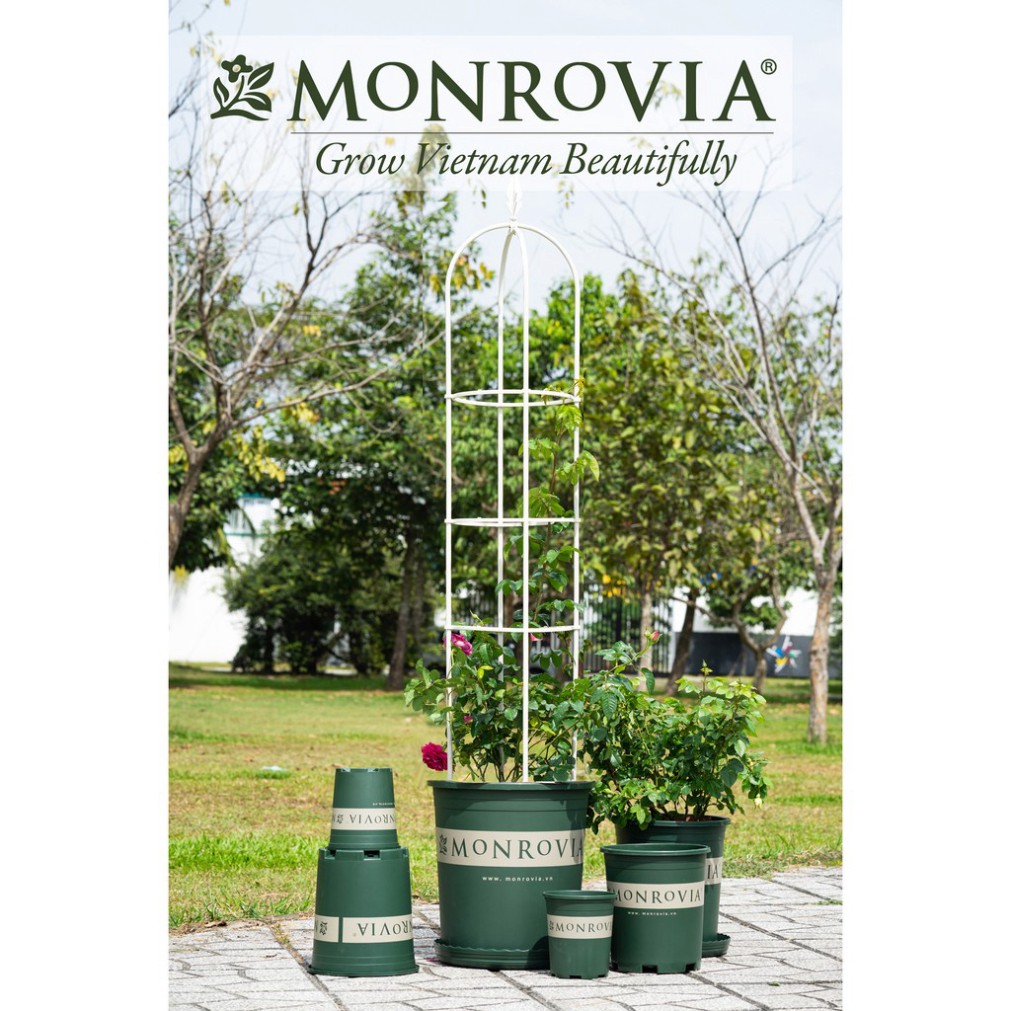 Chậu nhựa trồng cây MONROVIA 3 Gallon, chậu trồng cây, chậu cây cảnh mini, để bàn, treo ban công, treo tường, chính hãng
