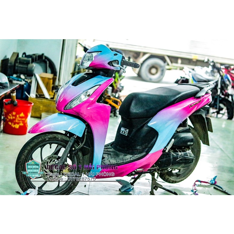 Tem trùm loang vison