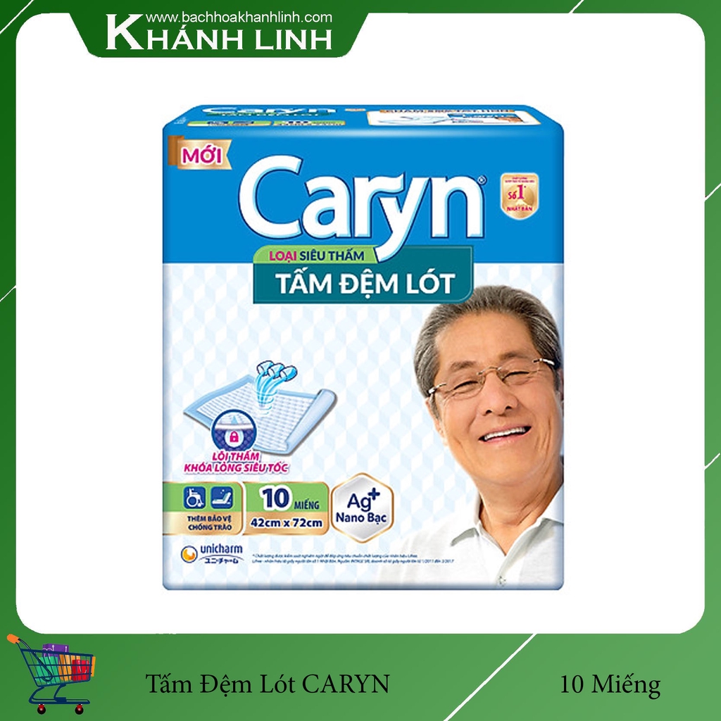 Tấm Đệm Lót Người Lớn  CARYN 42 X 72 CM (10 MIẾNG)