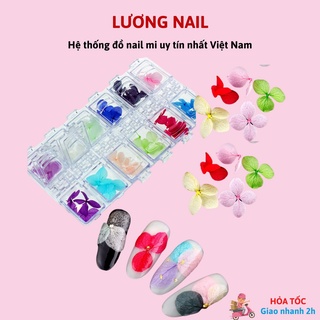 Hoa khô lụa trang trí nail ẩn gel khay 12 màu