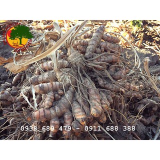 BỘT TRÀ XANH TINH NGHỆ 200GR