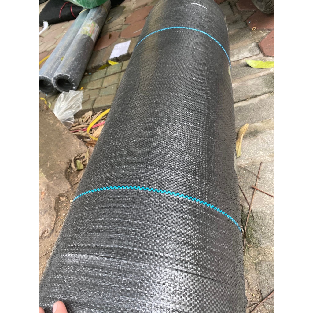 Bạt trải đất diệt cỏ, bạt địa chất khổ rộng 3m