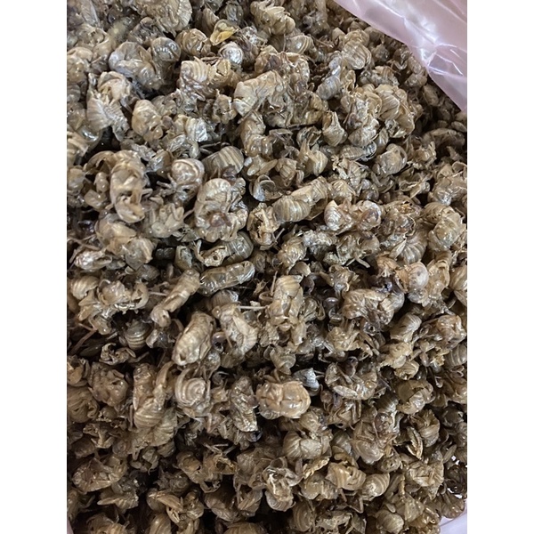 THUYỀN THOÁI  loại 1