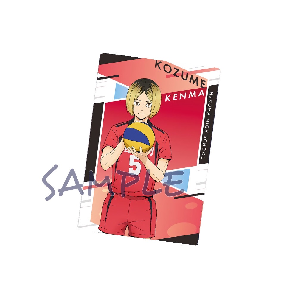 M5 Ảnh thẻ in hình HAIKYUU!! Vua Bóng Chuyền card bo góc viền 5*8cm anime chibi sưu tầm độc đáo