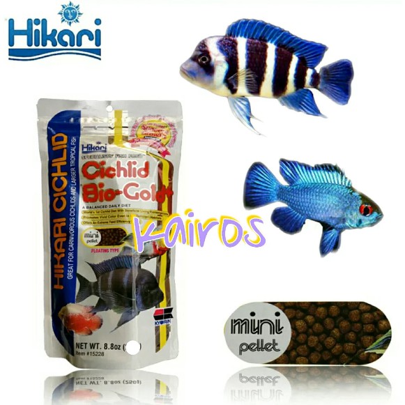 Hikari Cichlid Bio-Gold+ thức ăn cho cá la hán tai tượng tăng màu hổ trợ tiêu hóa 250 gram