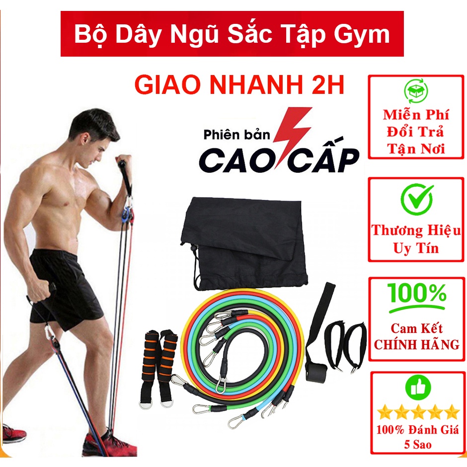 Dây đàn hồi tập gym, Bộ 5 Dây Đàn Hồi Tập Thể Hình cao cấp, hiện đại, đa năng nhất trên thế giới - HÀNG LOẠI 1 CAO CẤP
