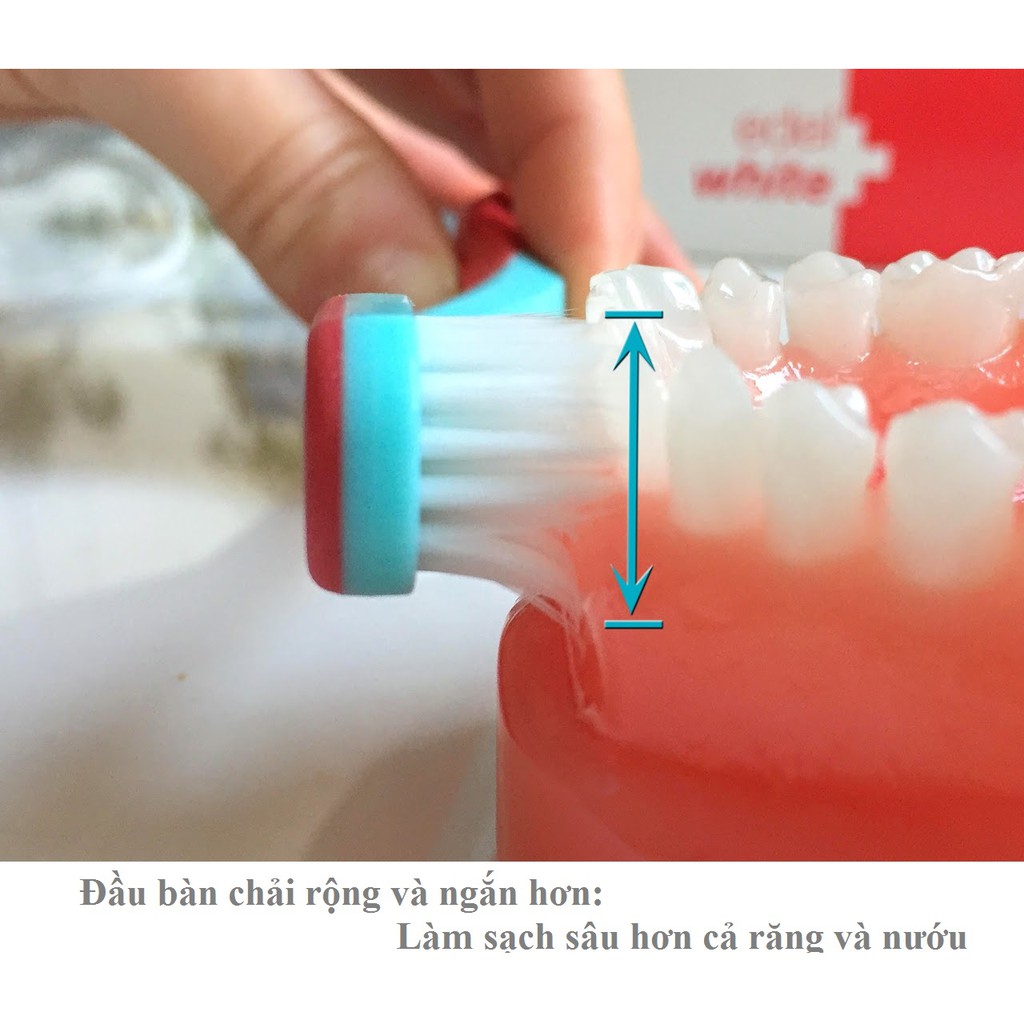 Bàn Chải siêu mềm PRO-GUM Thụy Sĩ