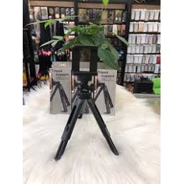 Combo Gậy Tripod Support+ Đèn Led livestream