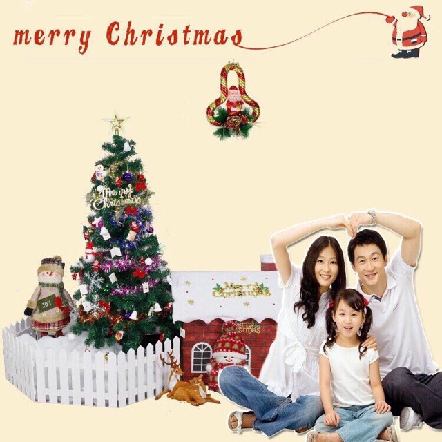 Cây thông Noel