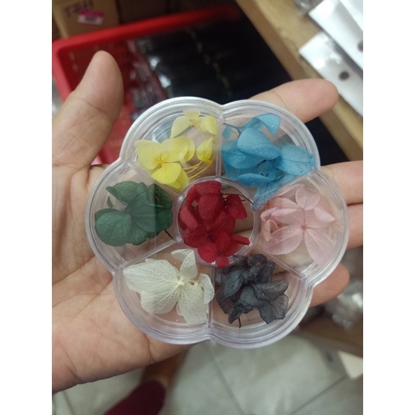 hoa khô trang trí móng